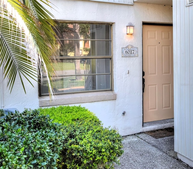 view of exterior entry with stucco siding