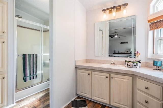 ensuite bathroom featuring vanity, plenty of natural light, and a shower with shower door
