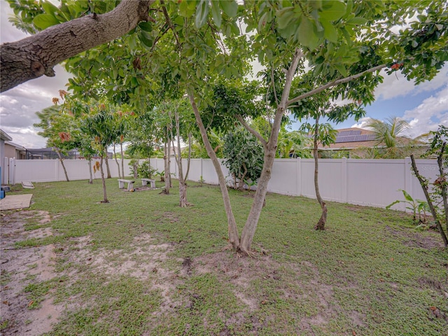 2033 Normandy Heights Dr, Winter Haven, FL 33880 - view of yard