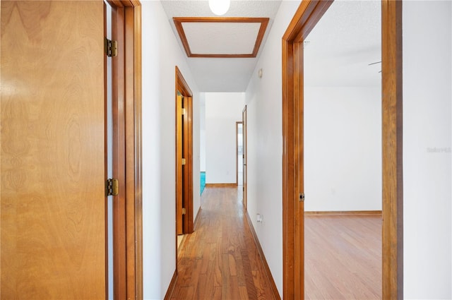 3226 Cherry Hill Cir S, Lakeland, FL 33810 - hallway featuring baseboards and wood finished floors