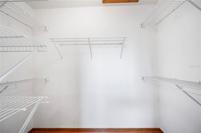 3226 Cherry Hill Cir S, Lakeland, FL 33810 - view of walk in closet