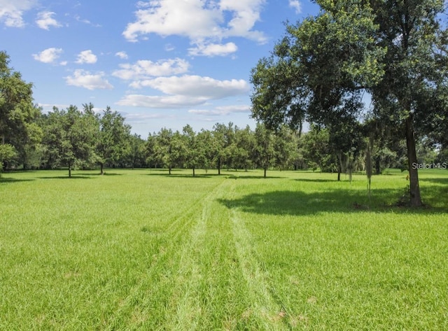 2606 W Sam Allen Rd, Plant City, FL 33565 - photo 5