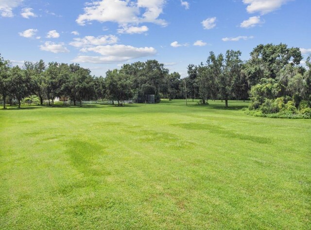 2606 W Sam Allen Rd, Plant City, FL 33565 - photo 8