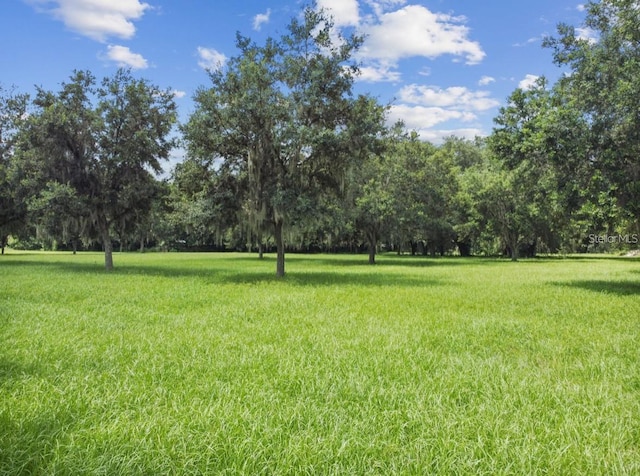2606 W Sam Allen Rd, Plant City, FL 33565 - photo 9