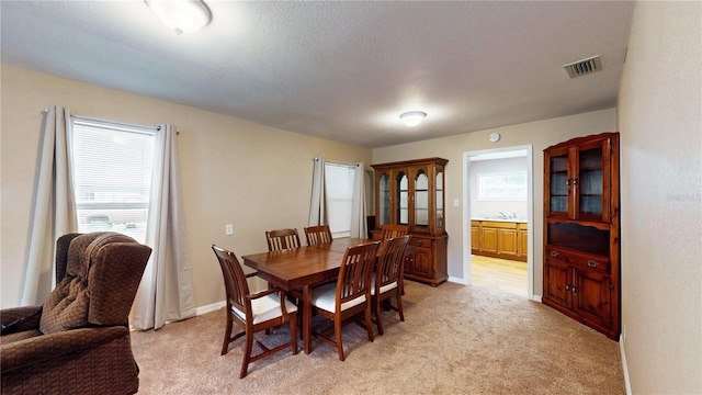 410 Orange St, Bradley, FL 33835 - dining area with visible vents and light colored carpet