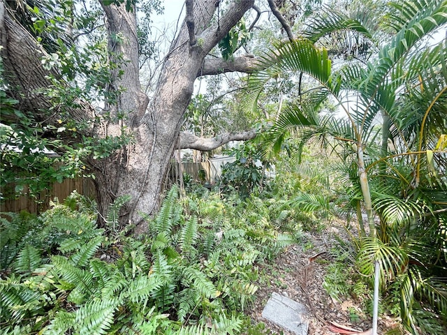 2415 Goldenrod St, Sarasota, FL 34239 - view of local wilderness