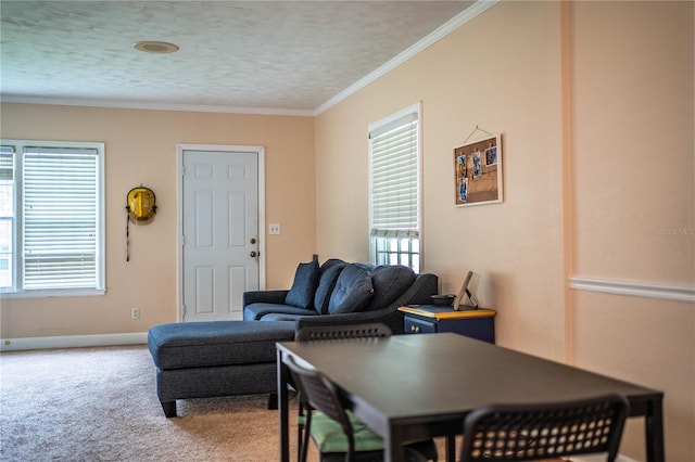 422 E Belmar St, Lakeland, FL 33803 - carpeted living area with crown molding, baseboards, and a textured ceiling