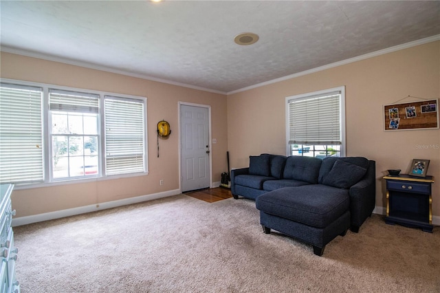 422 E Belmar St, Lakeland, FL 33803 - carpeted living room featuring crown molding and baseboards