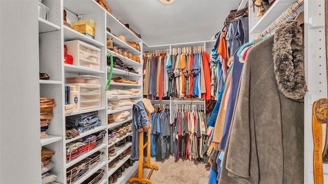 410 S Broadway Ave, Bartow, FL 33830 - spacious closet with carpet flooring