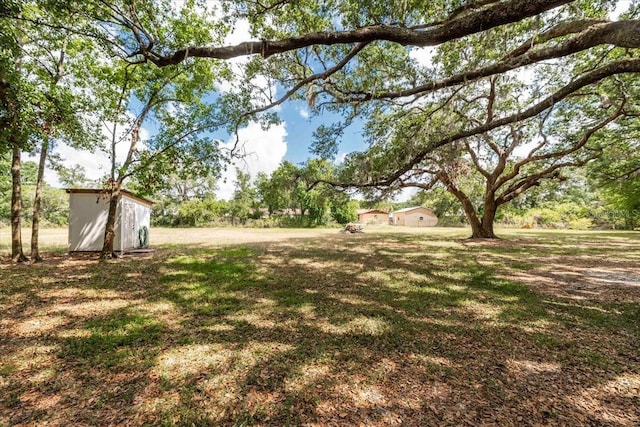 view of yard with a storage shed and an outdoor structure