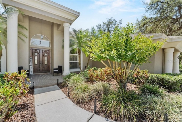 view of exterior entry featuring a porch and stucco siding