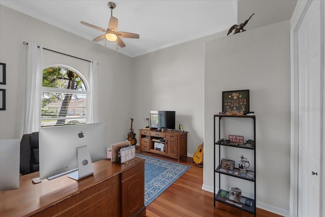 office area featuring ornamental molding, a ceiling fan, and light wood finished floors