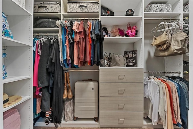 view of spacious closet