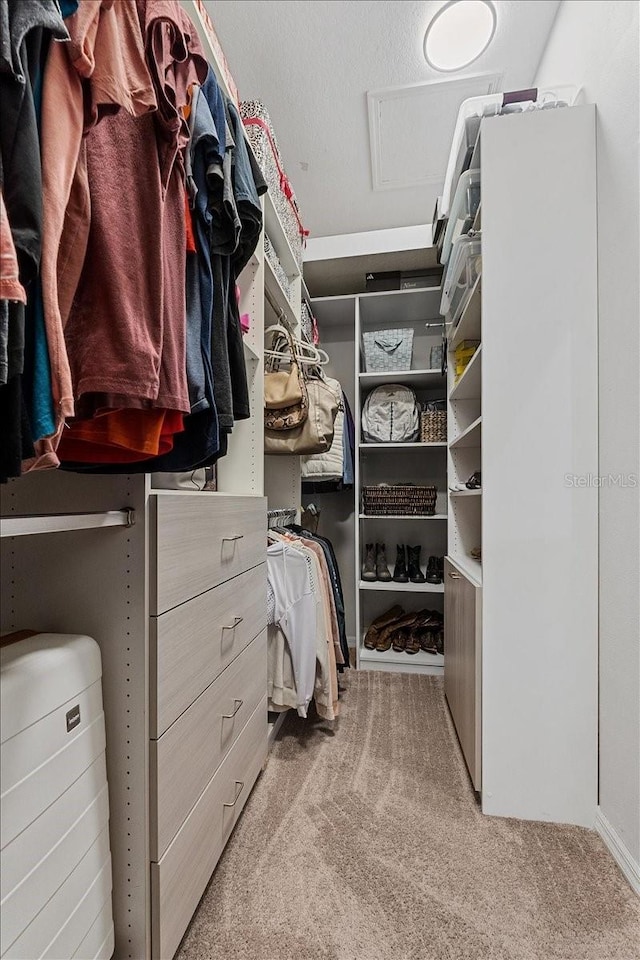 spacious closet with attic access and carpet floors