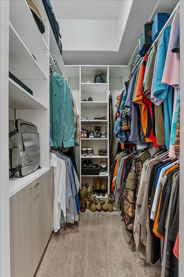 spacious closet featuring carpet floors