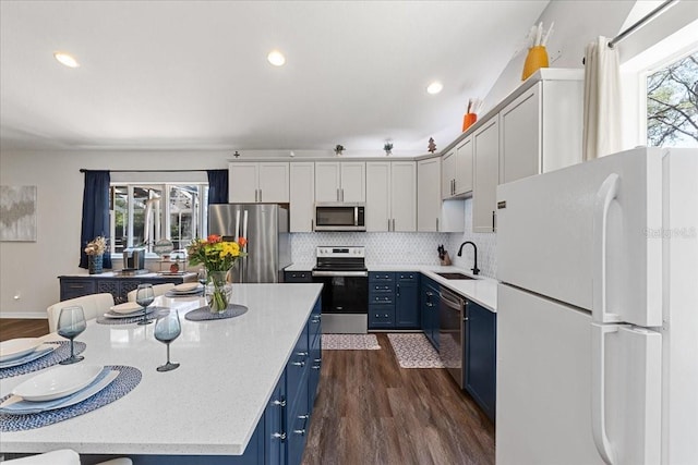 kitchen featuring a sink, blue cabinets, stainless steel appliances, and dark wood-type flooring