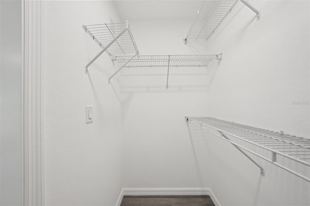 walk in closet featuring dark wood finished floors