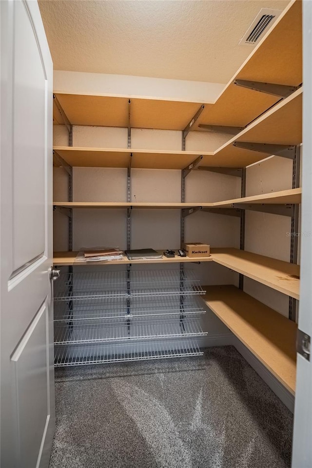 2933 Blackwater Oaks Dr, Mulberry, FL 33860 - storage area with visible vents