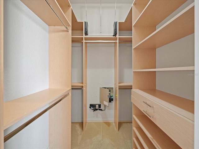 walk in closet with light colored carpet