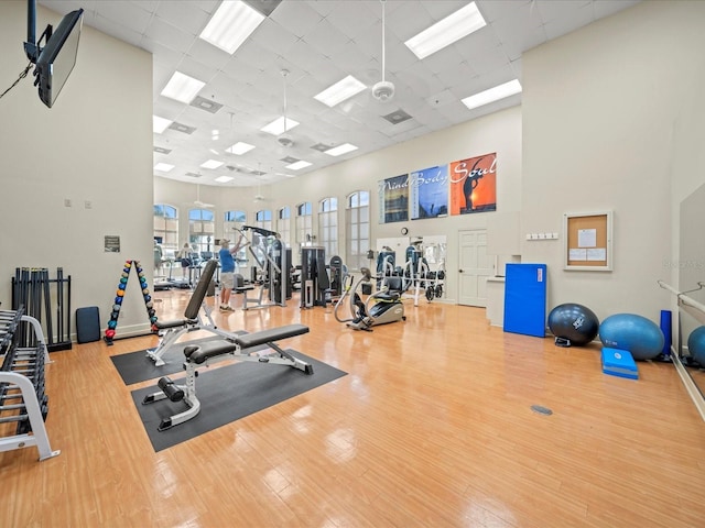 workout area with a high ceiling, a drop ceiling, wood finished floors, and plenty of natural light
