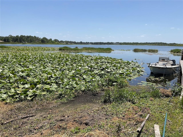 427 Longfellow Blvd, Lakeland, FL 33801 - water view