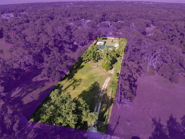 3233 Gardner Rd, Lakeland, FL 33810 - view of property location featuring a forest