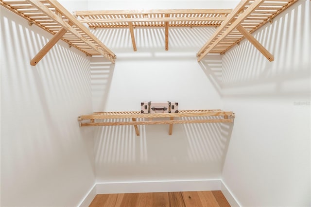 527 W Park St, Lakeland, FL 33803 - walk in closet featuring wood finished floors