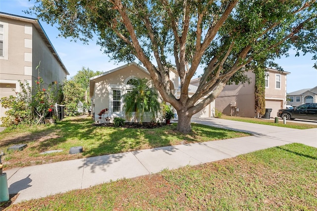 obstructed view of property featuring concrete driveway, a front yard, and stucco siding