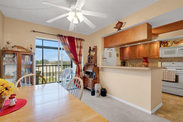 1130 N Lake Parker Ave Unit C321, Lakeland, FL 33805 - dining area with baseboards, a ceiling fan, and a textured ceiling