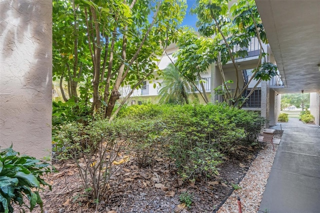 1130 N Lake Parker Ave Unit C321, Lakeland, FL 33805 - view of yard