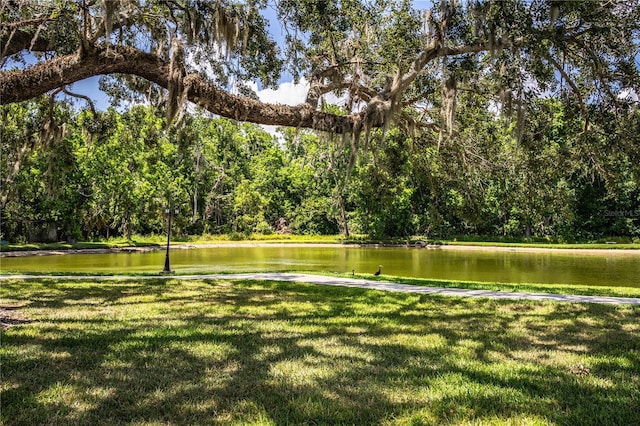 4976 Pleasant Hollow Trl, Lakeland, FL 33811 - view of home's community with a lawn, a water view, and a wooded view