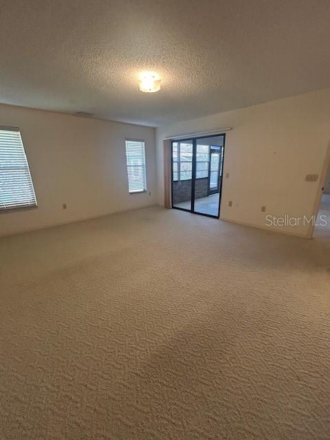 unfurnished room with light colored carpet and a textured ceiling
