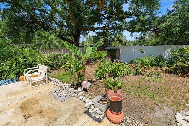 view of yard with a patio and a fenced backyard