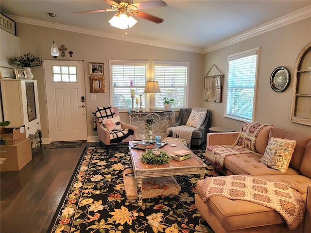 living room with ceiling fan, dark wood-style floors, a wealth of natural light, and ornamental molding