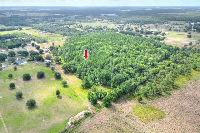 drone / aerial view featuring a rural view
