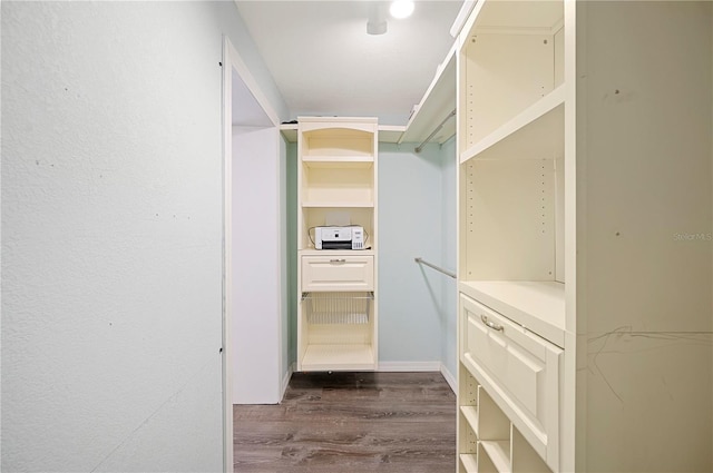 spacious closet featuring dark wood-style floors