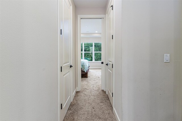 20159 Umbria Hill Dr, Tampa, FL 33647 - photo 23