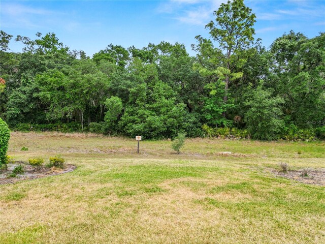 20159 Umbria Hill Dr, Tampa, FL 33647 - photo 34