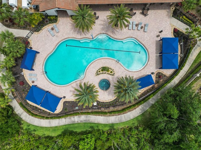 20159 Umbria Hill Dr, Tampa, FL 33647 - photo 50