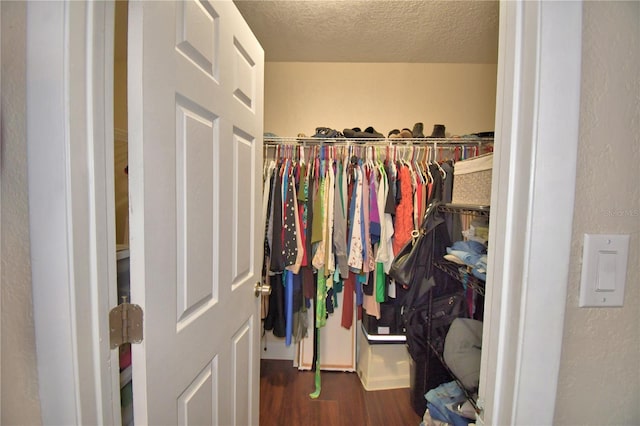 walk in closet featuring wood finished floors