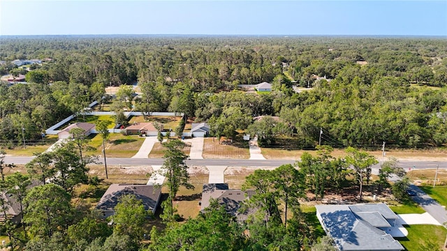 bird's eye view of a forest