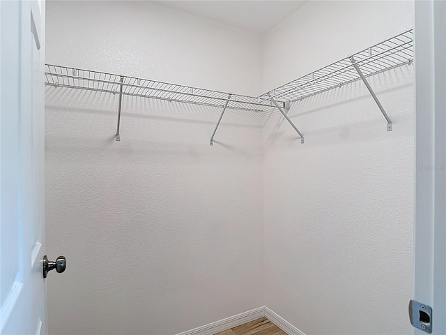 spacious closet with wood finished floors