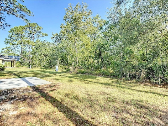 view of green lawn featuring a patio area