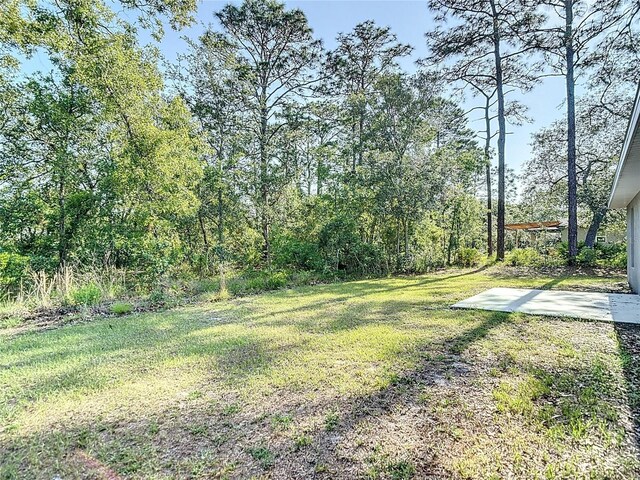 view of green lawn with a patio area