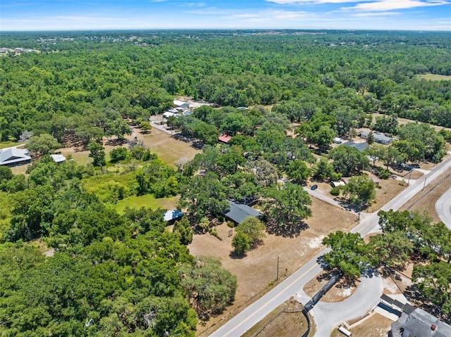3441 Sherertz Rd, Lakeland, FL 33810 - bird's eye view of a forest