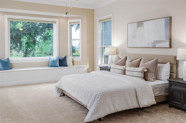 carpeted bedroom with crown molding