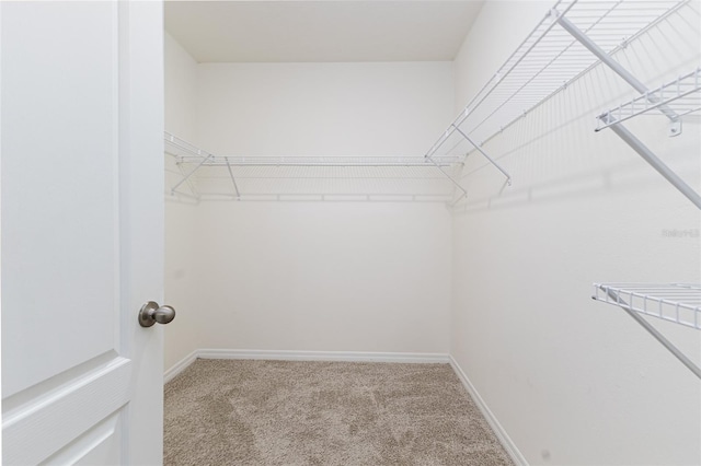 spacious closet with carpet floors
