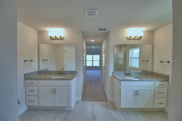 bathroom with visible vents, a sink, and two vanities