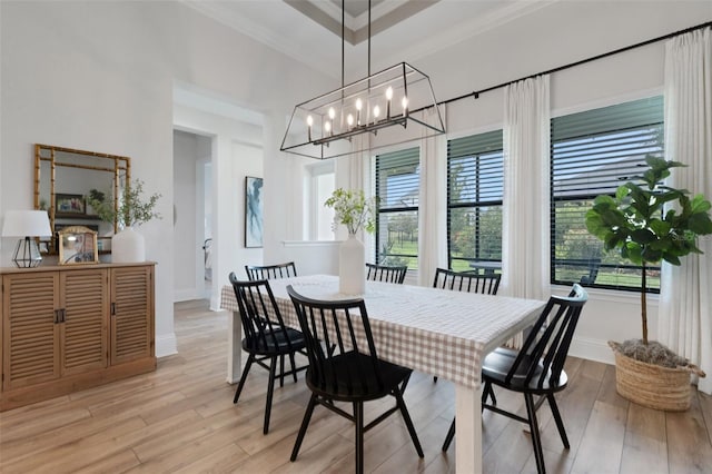 2551 Delphi Woods Cir, Lakeland, FL 33812 - dining area with light wood-style flooring, a chandelier, crown molding, and baseboards