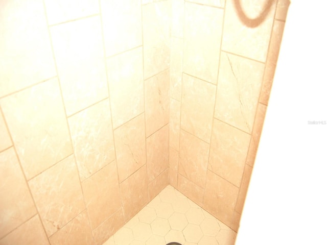255 S Pennsylvania Ave, Lake Alfred, FL 33850 - bathroom view of a tile shower